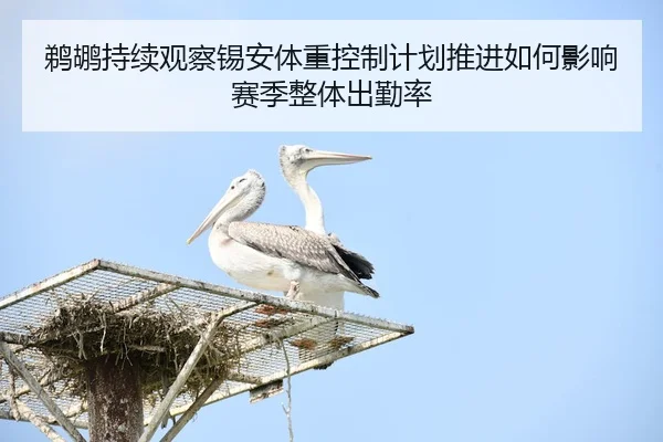 鹈鹕持续观察锡安体重控制计划推进如何影响赛季整体出勤率