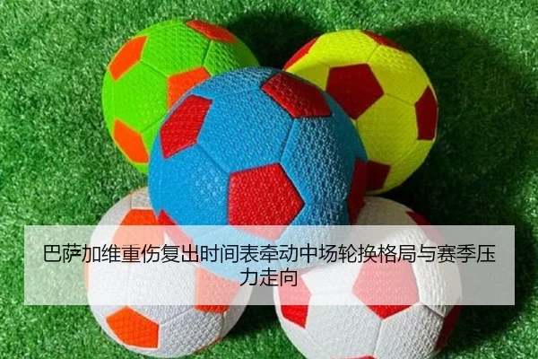 img_1781299184494_2154_1_430.jpg